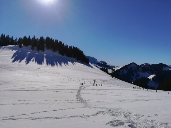Image Sortie hivernale 